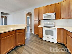 1538 African Violet Ct in Trinity, FL - Building Photo - Building Photo