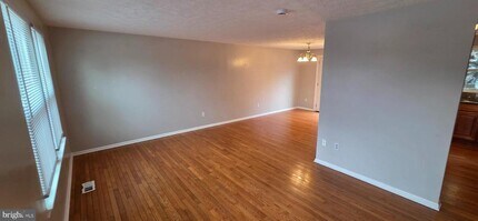 223 Laura Anne Ct in Sterling, VA - Building Photo - Building Photo