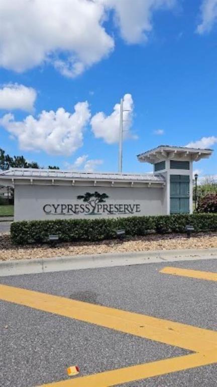 18234 Falling Pine Needle Ln in Land O Lakes, FL - Building Photo - Building Photo