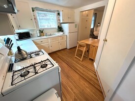 718 N Cayuga St in Ithaca, NY - Building Photo