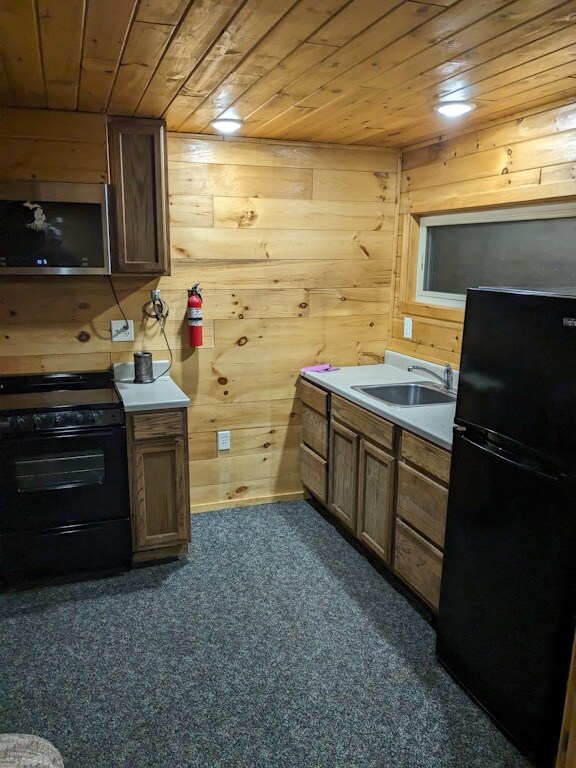 17180C Kathy's Wy Rentals in Hersey, MI