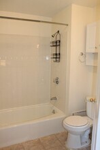 53 E Springfield St, Unit 3 in Boston, MA - Building Photo - Building Photo