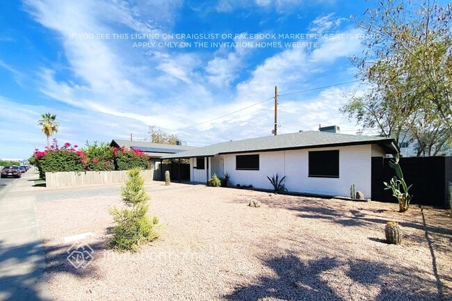 713 E Commonwealth Pl in Chandler, AZ - Building Photo - Building Photo