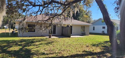 1164 N Lion Cub Point in Lecanto, FL - Building Photo - Building Photo