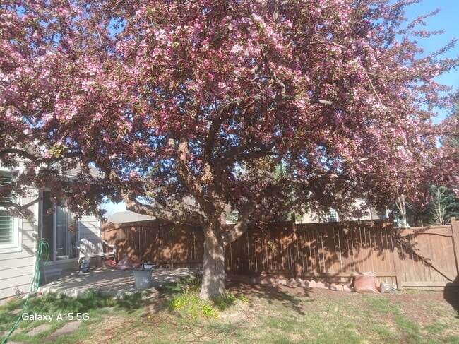 501 Yuma Ct in Fort Collins, CO - Building Photo - Building Photo