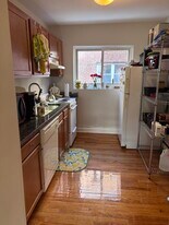 159 Massachusetts Ave, Unit 8 in Boston, MA - Building Photo