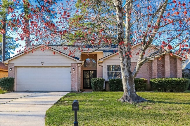 property at 3919 Monteith Dr