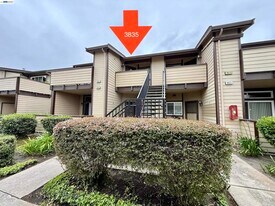 3835 Yorkshire St in San Leandro, CA - Building Photo