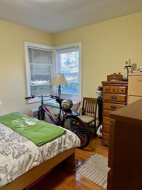 29 Fir St