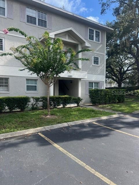 14428 Reuter Strasse Cir in Tampa, FL - Building Photo