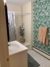 106 Central St, Unit 1061 in Somerville, MA - Building Photo - Building Photo