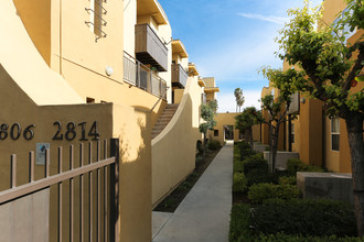 Tolton Court in Los Angeles, CA - Building Photo - Building Photo