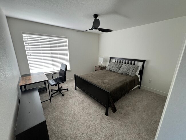 5700 Jedidiah Dr in Timnath, CO - Foto de edificio - Building Photo