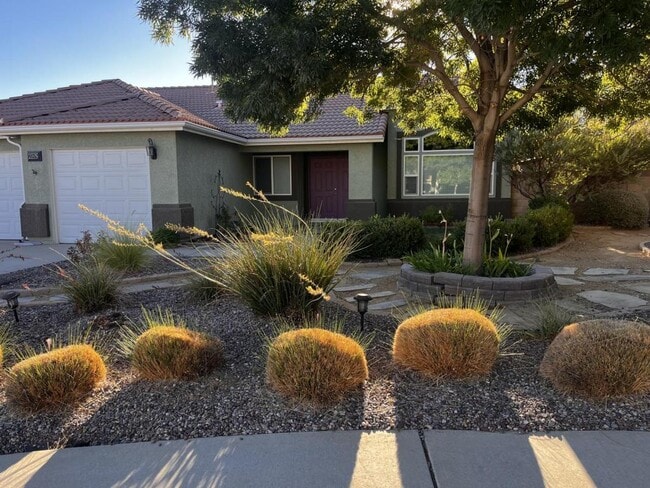 property at 40352 Palmas Ct