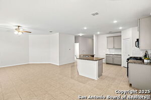 8310 Tobiano Wy in San Antonio, TX - Building Photo - Building Photo