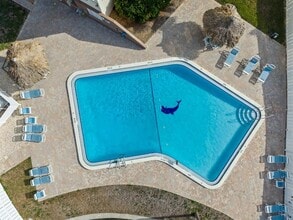 255 Dolphin Point in Clearwater, FL - Building Photo - Building Photo