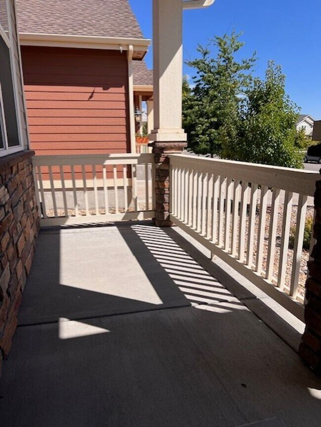 10011 Copenhagen St in Parker, CO - Building Photo - Building Photo