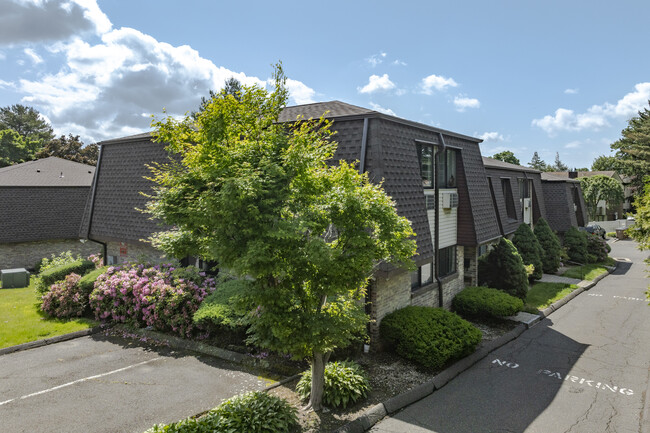 The Manor Condominium in Stamford, CT - Building Photo - Building Photo