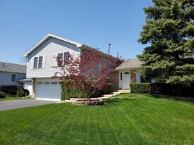 8 E Harbor Dr in Lake Zurich, IL - Building Photo