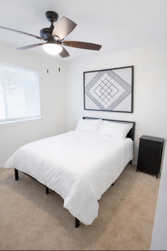 property at 203 Brooke St