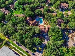 8617 Fancy Finch Dr in Tampa, FL - Building Photo - Building Photo