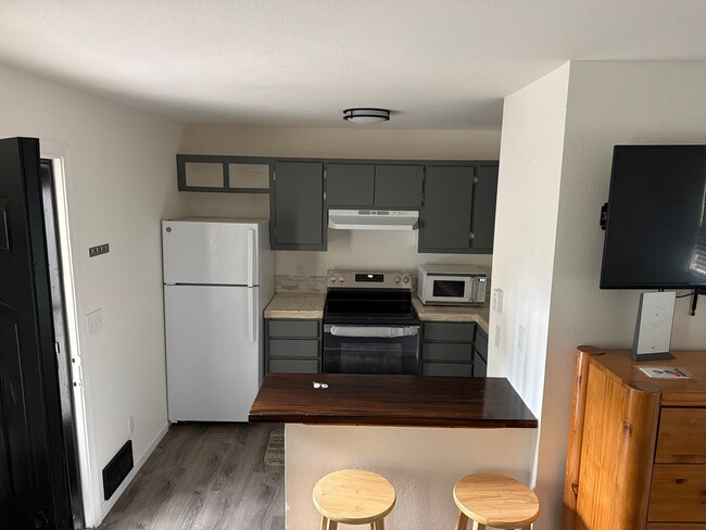 113 Loretta Ct, Unit 2 in Ouray, CO - Building Photo - Building Photo