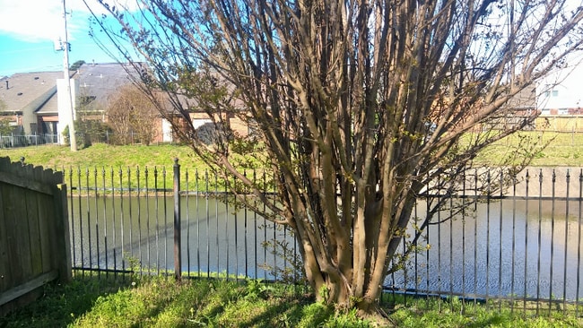 property at 1693 Beaver Trail Dr