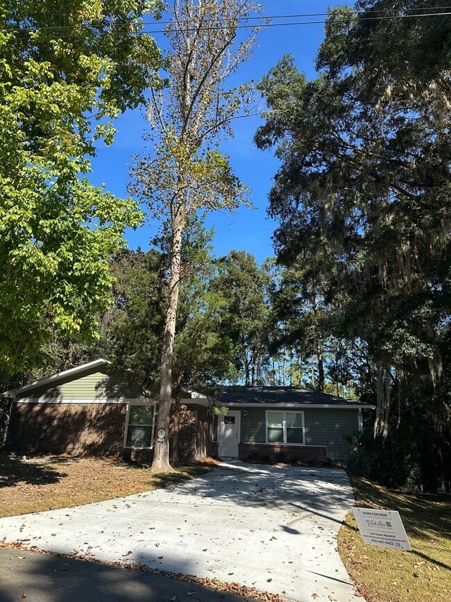 2446 Dundee Dr in Tallahassee, FL - Building Photo - Building Photo