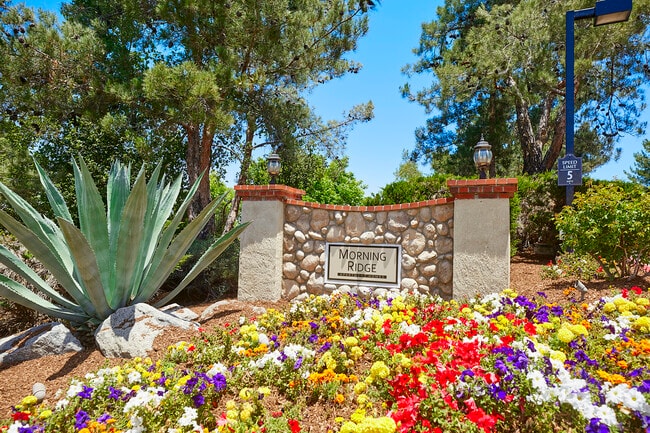 Morning Ridge Apartment Homes