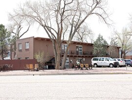 415 S Weber St in Colorado Springs, CO - Building Photo
