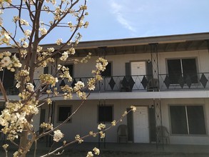 Ashwood Court in Lubbock, TX - Building Photo - Other