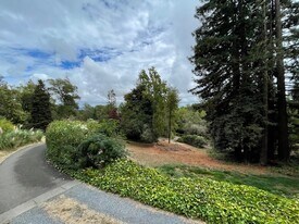 1485 Timberhill Rd, Unit Central in Santa Rosa, CA - Building Photo