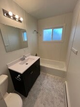 143 E South St, Unit 143 in Dakota, IL - Building Photo - Building Photo