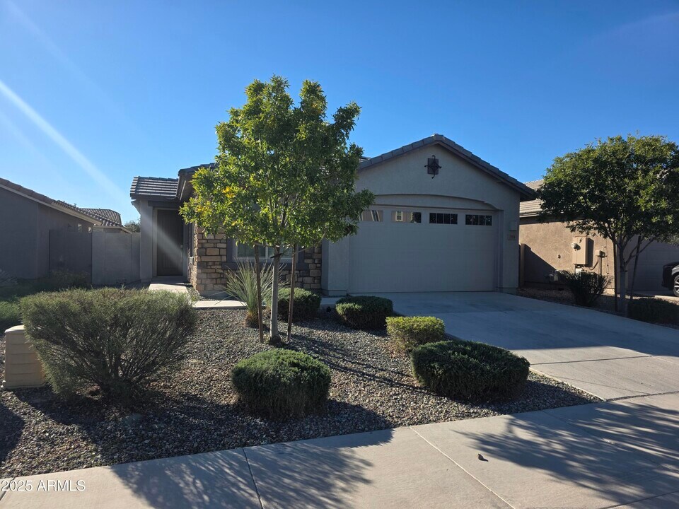 319 Pinnacle Ridge Dr in San Tan Valley, AZ - Building Photo
