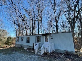 1047 Island Ford Rd in Buford, GA - Building Photo