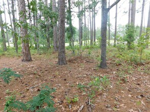 914 Muirfield Pl in New Bern, NC - Building Photo - Building Photo