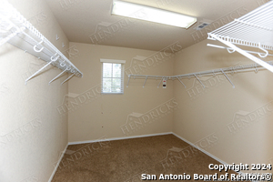 6506 Lionheart Park in San Antonio, TX - Building Photo - Building Photo