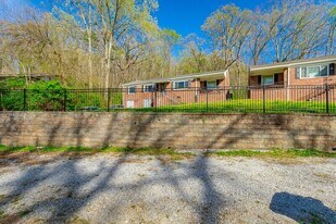 1010 Glenwood Dr in Chattanooga, TN - Building Photo