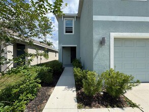 10829 Trailing Vine Dr in Tampa, FL - Building Photo - Building Photo