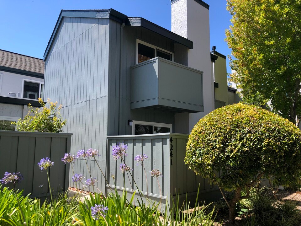 4241 Sea Pines Ct in Capitola, CA - Building Photo