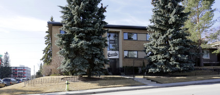 903 49th Ave SW in Calgary, AB - Building Photo - Building Photo