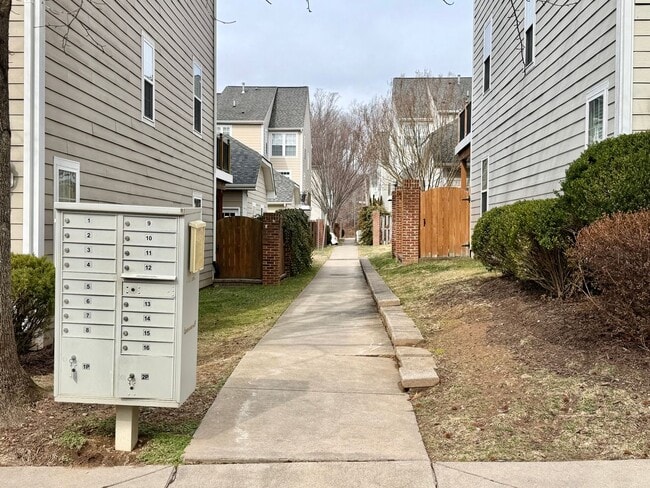 713 Rainier Rd in Charlottesville, VA - Building Photo - Building Photo