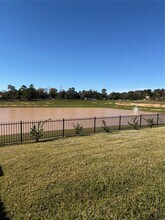 15671 Honey Cv Dr in Conroe, TX - Building Photo - Building Photo