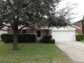 20322 Linden Tree Dr in Katy, TX - Building Photo