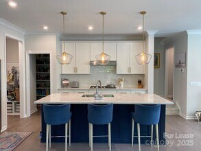541 Madison Falls Ct in Fort Mill, SC - Building Photo - Building Photo