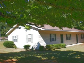 South Forge Apartments in Wedgefield, SC - Building Photo