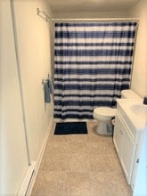 729 Chippewa St in Eau Claire, WI - Foto de edificio - Building Photo