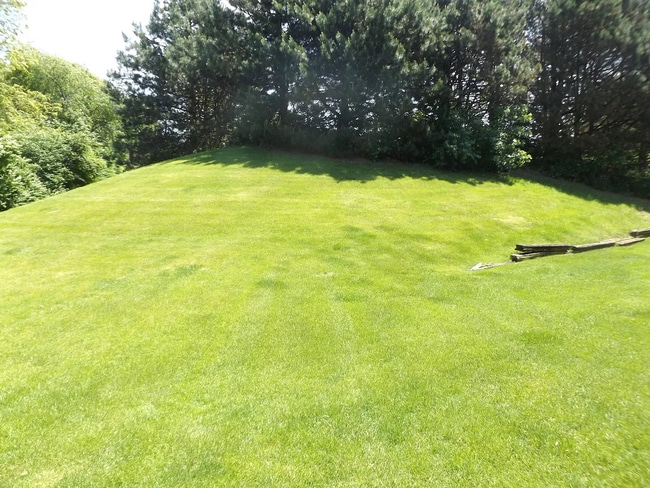 800 N Lakeside Dr, 2B, Unit 2B in Vernon Hills, IL - Building Photo - Building Photo