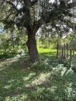 607 Honeyfarm Ln in Auburndale, FL - Building Photo