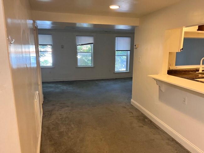 1038 S Charles St, Unit 1